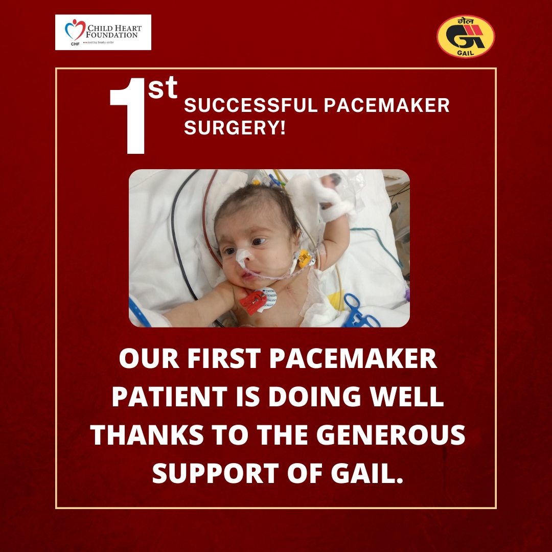 B/O SAMPRITA:PACEMAKER WARRIOR