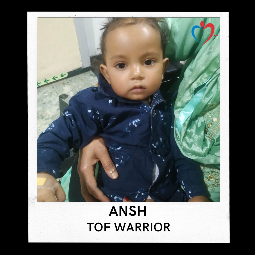 Ansh