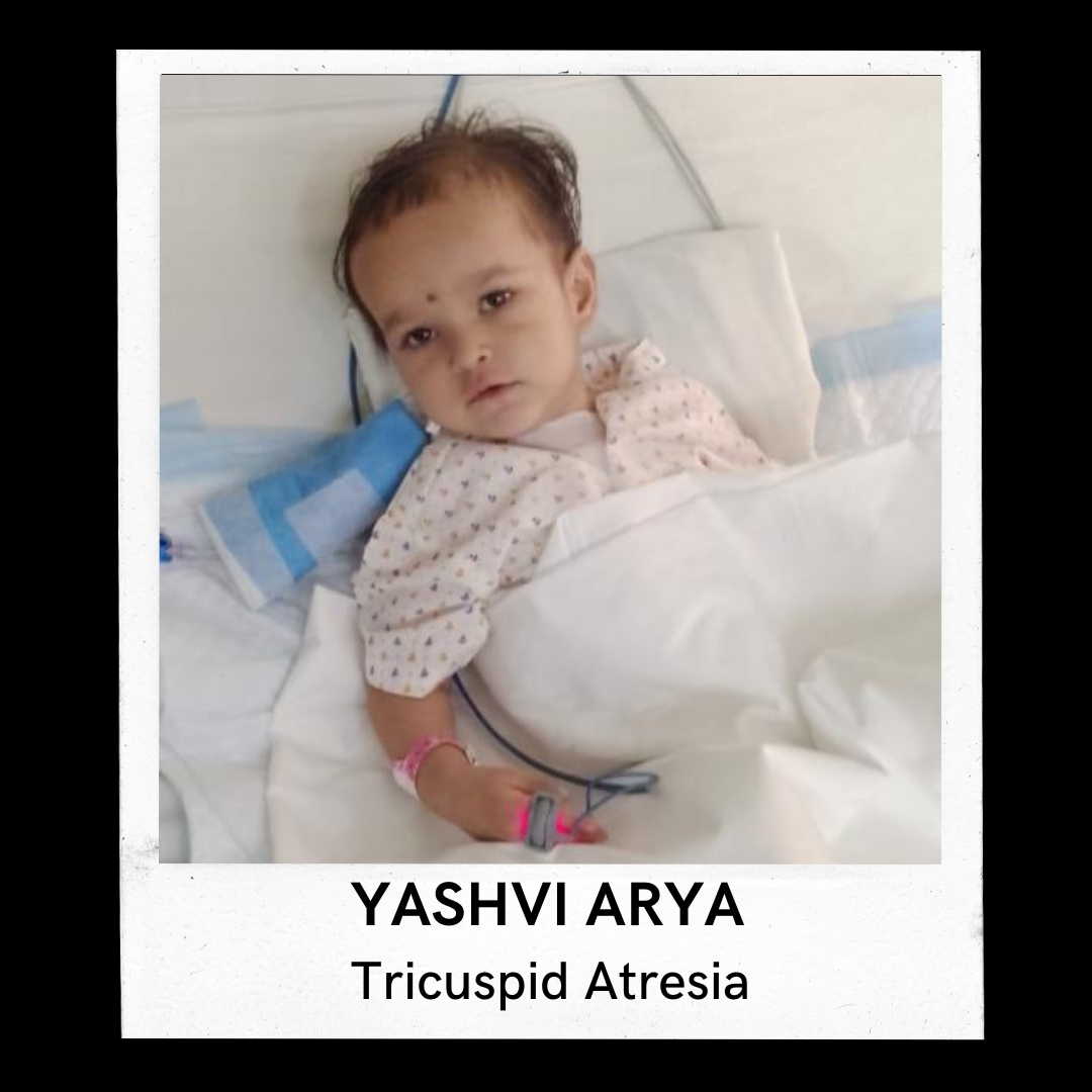 YASHVI ARYA